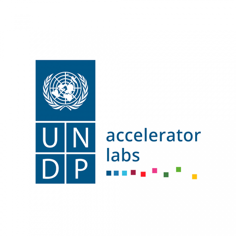 UNDP Accelerator Lab | SSWM - Find Tools For Sustainable Sanitation And ...